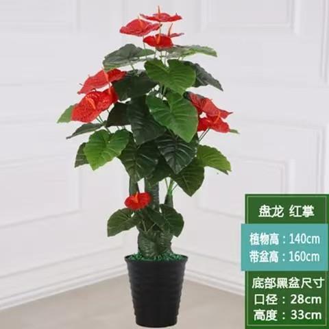 假树发财树招财树摆件植物装饰塑料绿盆植大盆花树栽室厅内景客花