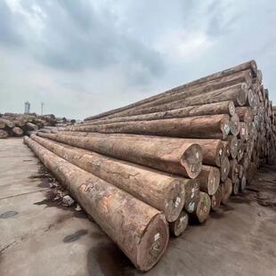 南美木原木木材472林柚巴新菠萝格实木圆柱园古建户外工程腐防木