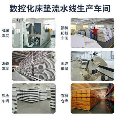 东簧南亚亲面料高密回弹海绵宿舍专床垫租房肤用出租XLX屋弹床垫