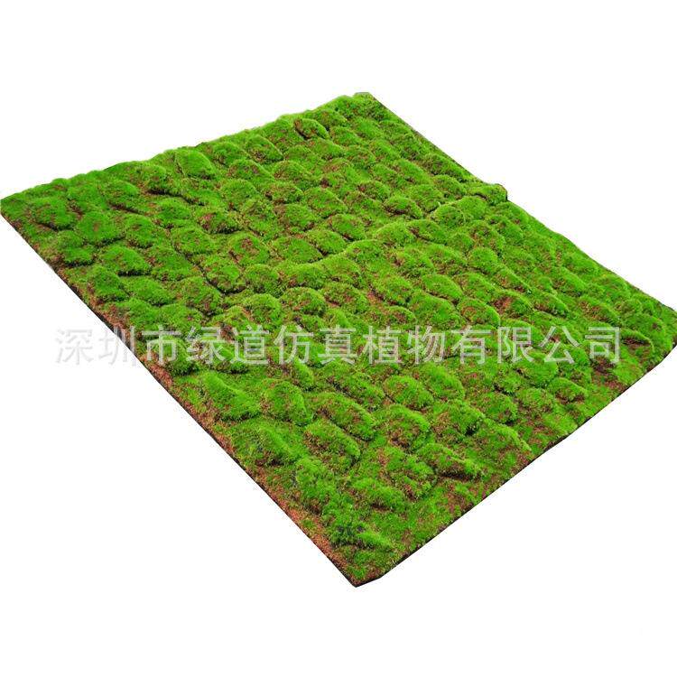 仿真绿植配件摄影道具创造JKF意森外拍摄绿系草地景草皮景