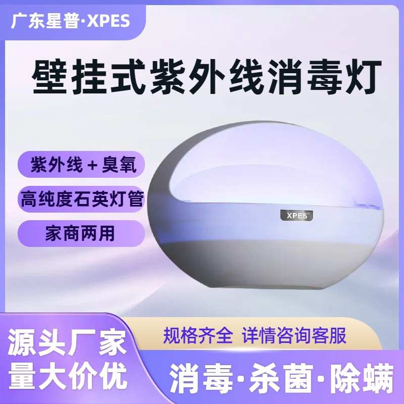 壁挂式紫外线消毒灯商用餐饮食堂室内幼儿园臭氧uv紫外线杀菌灯