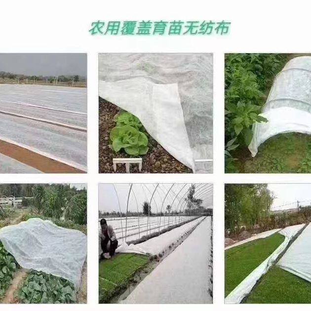 育苗蔬菜种植透气农用水稻育苗覆盖无纺布二膜保温透气薄膜实外膜