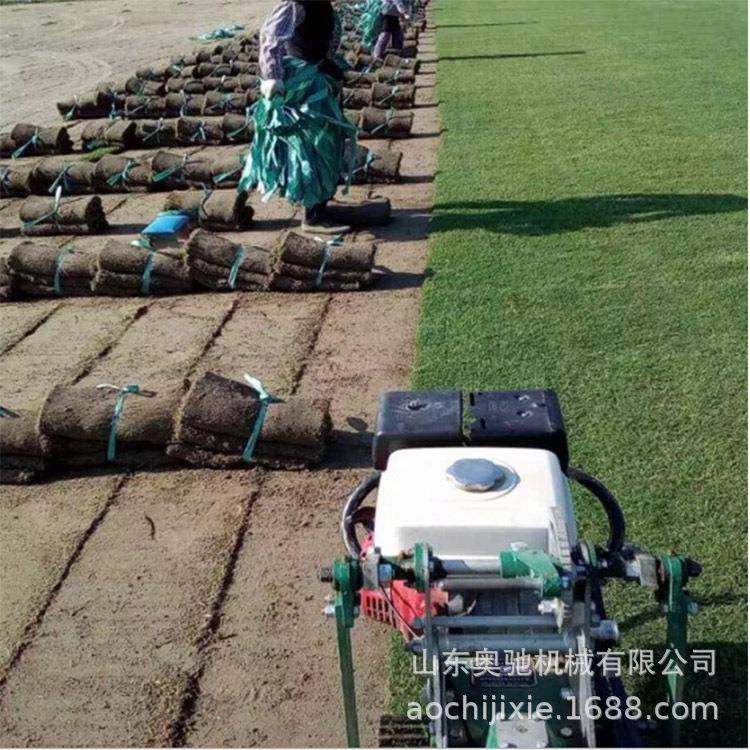 生产起草皮机手推式人造草皮移植机汽油动力草坪移植机