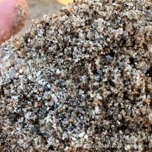河沙粗沙细沙养花沙子种植土鱼缸底砂建筑用沙石砂石天然石