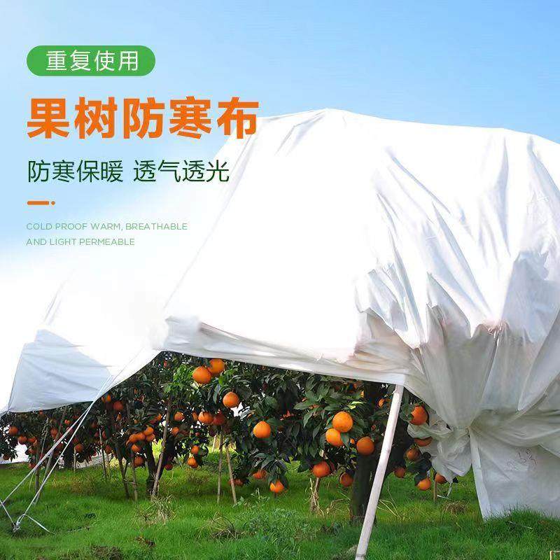 果树防寒布防冻保暖柑橘橙树果园植物专用防水防雨防寒无纺布