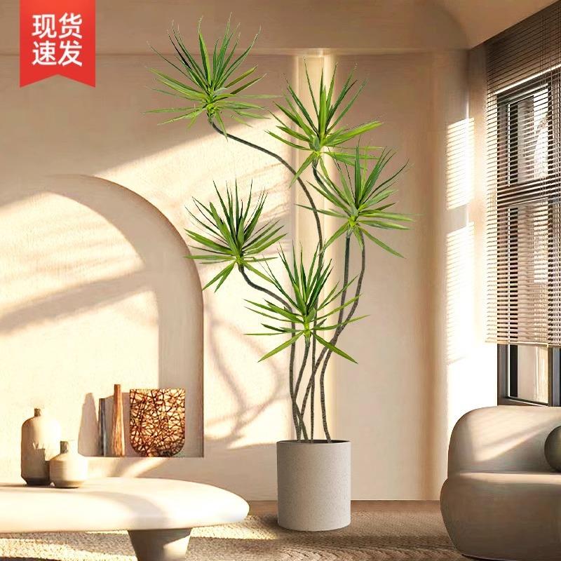 龙血树盆栽绿植室内大型客厅大盆景多头龙铁树龙须树仿真办公室植