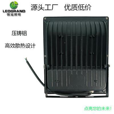 户外泛灯一体内外照明庭院光杆灯广场投光灯高球场灯室IP6LG20006