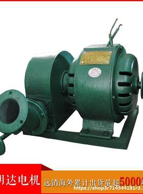 1KW翠绿色水轮发电机达家用冲发击式水力电明直机组铜芯线销