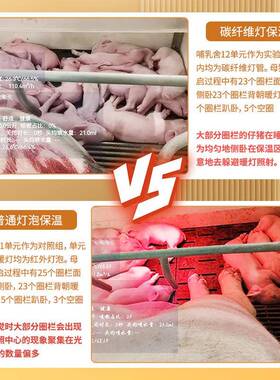 养殖保温灯灯罩猪用养殖取育暖灯热小鸡仔猪雏水ROZ加灯泡防调温