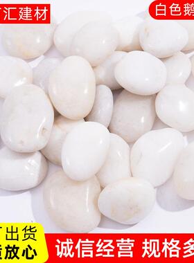 雪花白鹅石白色机ZUM制卵水洗石水枯山园林盆铺路造景白石子栽雨