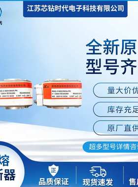 RT16-00C 500V 100A RT16-1 500V 80A 库柏西熔熔断器