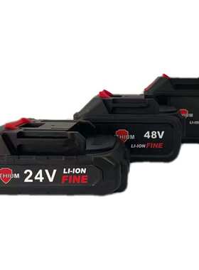 24VF48VF68VF无线洗车机锂电池洗车机配件电池 动力电池