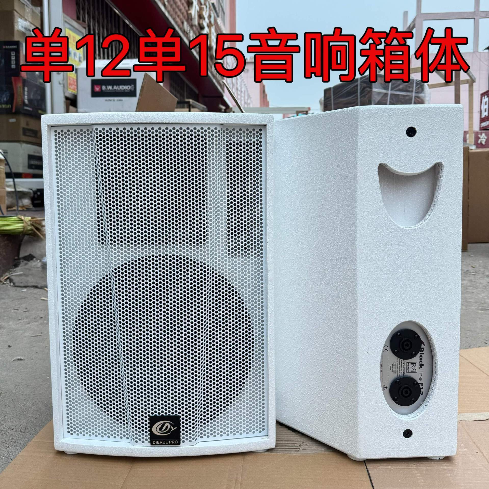 单12寸15寸音响空箱体白色音箱酒吧KTV吊装庭会议音箱壳子