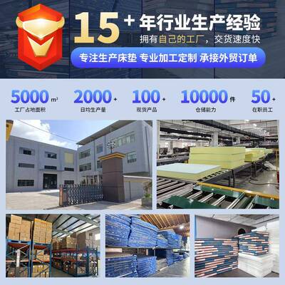 HGP可9CM厚直包边款床拉链款拆洗垫子家垫用透榻榻米床褥气垫