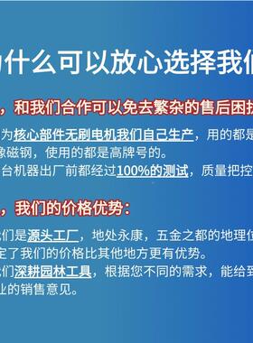 无刷锂电锯8寸6寸充电便携手迷LUG你锯锂电式池小型链电锯修持枝