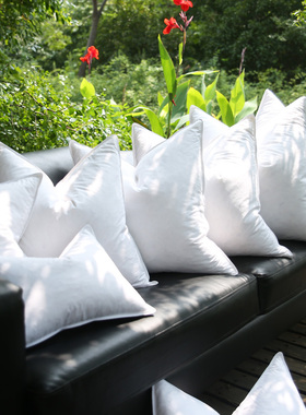 汉尚抱枕芯羽绒白靠背填充物靠垫455060鹅毛沙发内胆靠枕新疆包邮