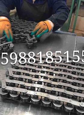 S38.1不锈钢倍速链条31.XUA5尼龙滚子2.5倍速BS25-C212AB30P7-C21