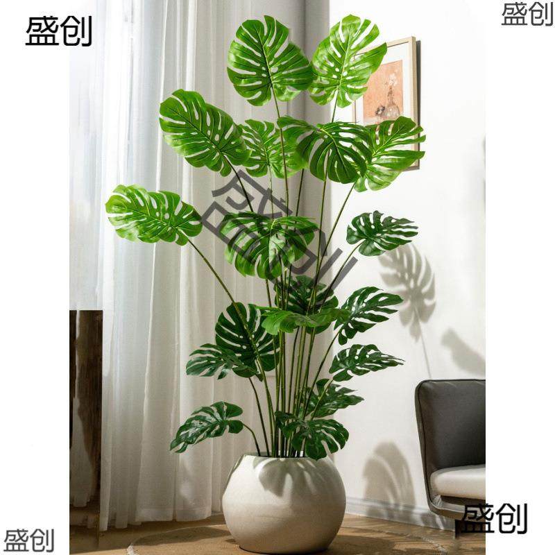 绿植龟背竹散nPNTCbGC尾葵蓝花楹天南竹橡榕室内栽盆假树假花包胶