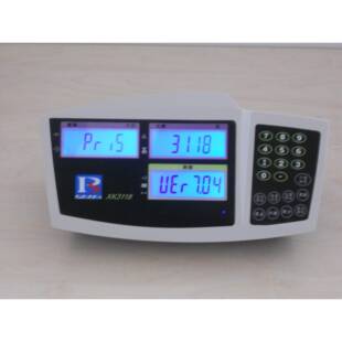 600kg 600C计0数仪表三S窗口显 2g成都465普瑞子逊XK3118电台称TC