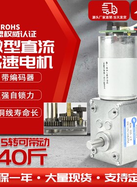 5840-555涡轮蜗杆微型直流减速马达小电机12v24v带编码器自锁齿轮