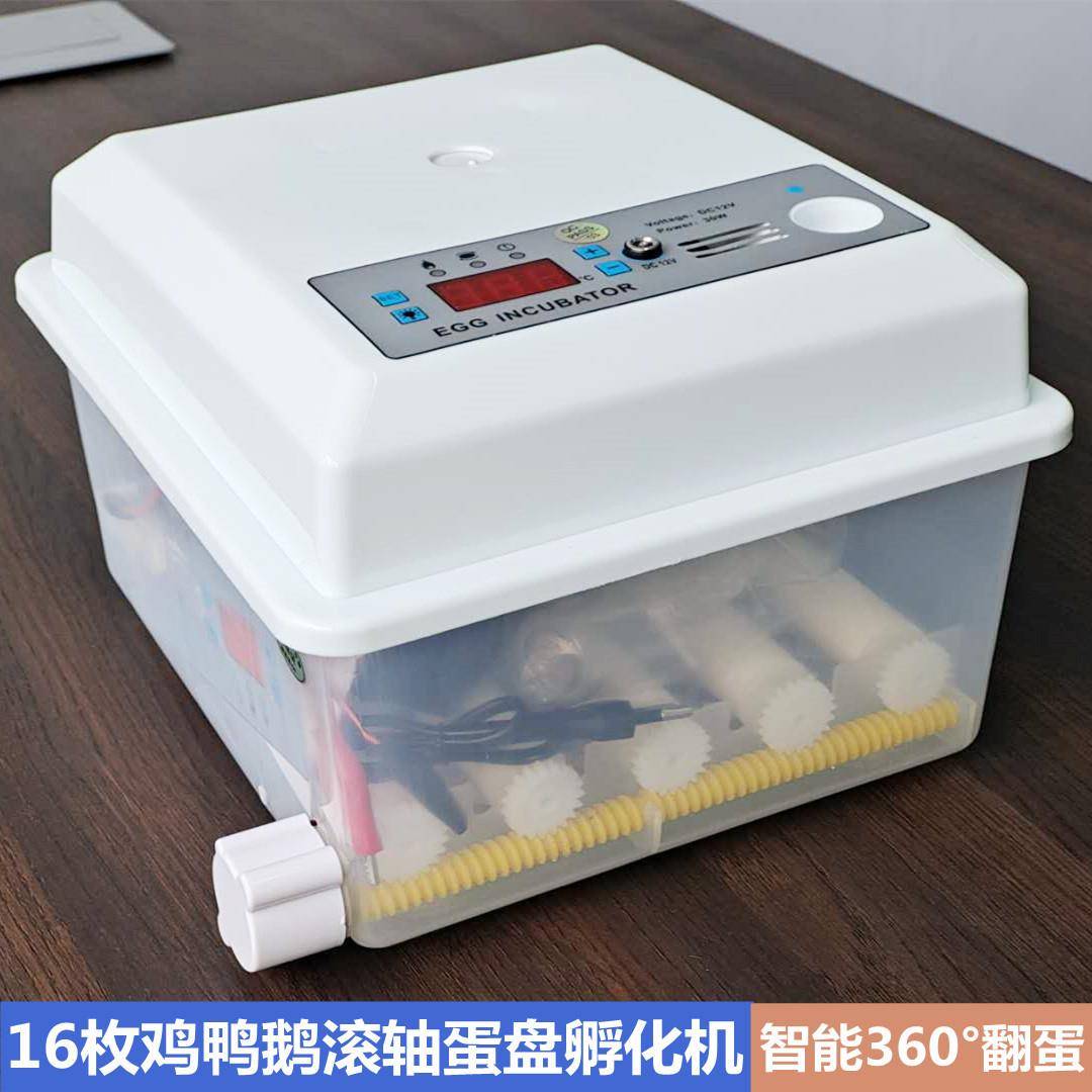 孵化机 家用小鸡16枚型迷你电瓶全自动滚轴翻蛋恒温孵蛋型孵化器