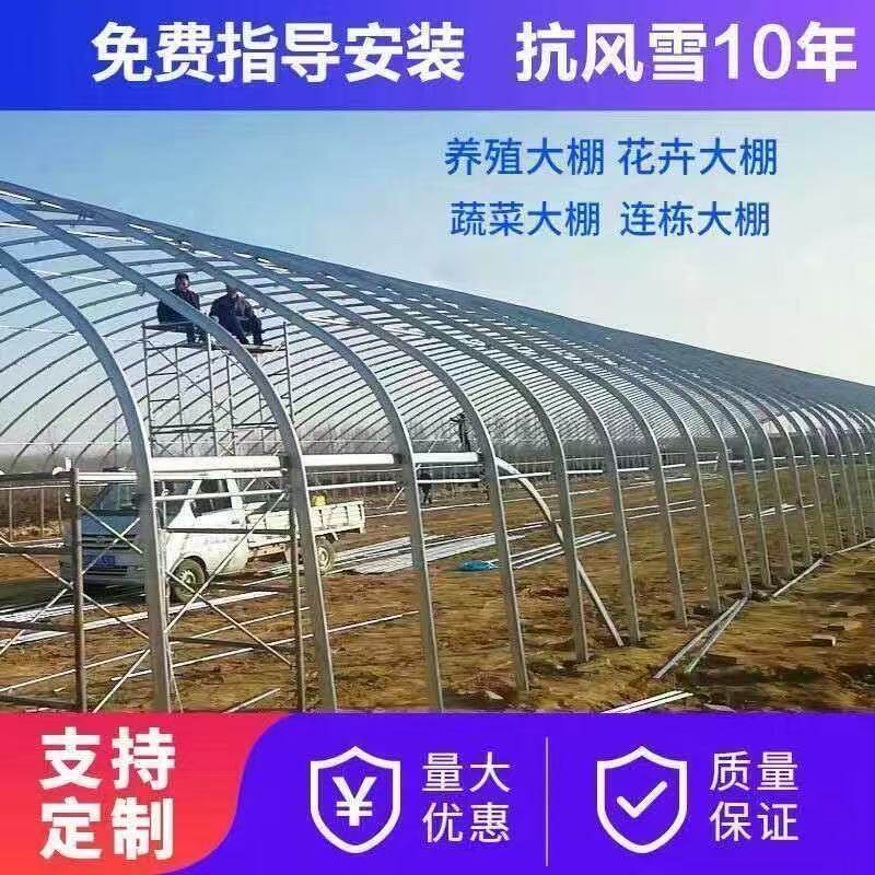 种植大棚骨架养殖大棚鸡棚养猪棚蔬菜大棚花卉棚温室大棚全套椭圆