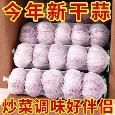 26年新干大蒜网兜装产地直发