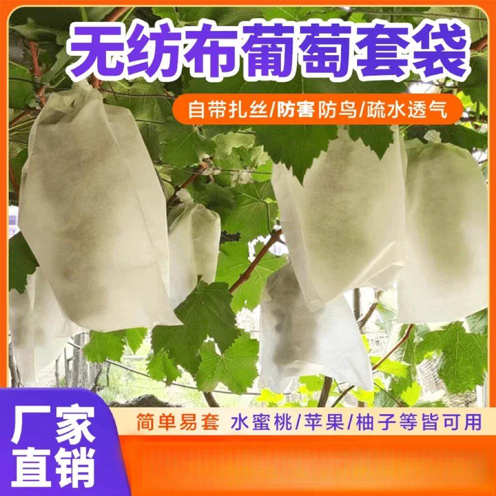 【抢!超值100个】自带抽绳葡萄水果套袋防鸟防雨瓜果套袋驱鸟wy