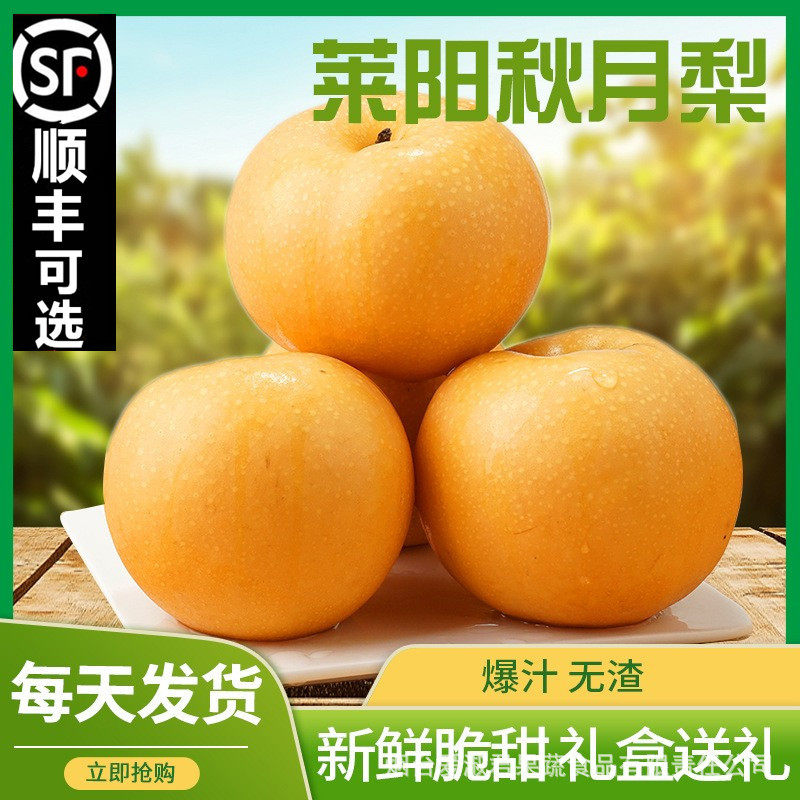 烟台莱阳秋月梨新鲜采摘脆甜多汁冰糖心皮薄核小当季水果整箱包邮