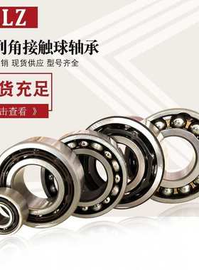 LR5307-2RS  LR 5308ZZ 双列角接触球轴承