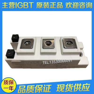 GD50HFT170C1S GD75HFT170C1S GD100HFT120C1S GD100HFL170C1SW