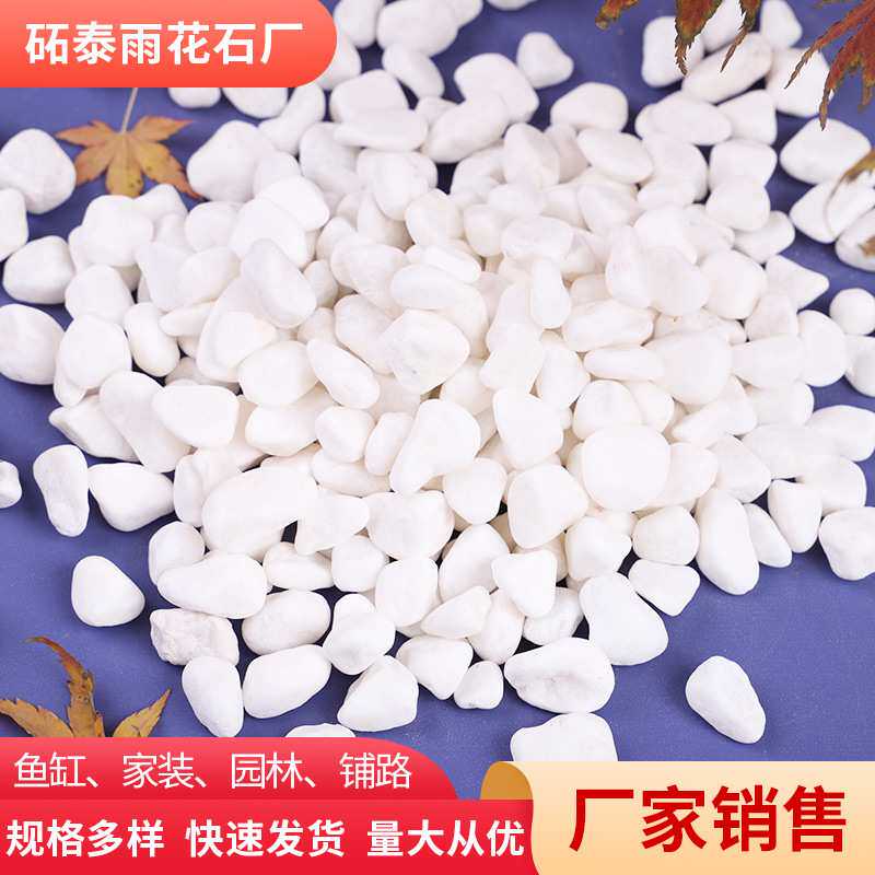 白色鹅卵石 多肉盆栽铺面雪花白庭院家装园林景观鱼缸垫底白石子