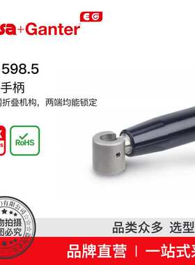 Elesa Ganter伊莉莎冈特 GN598.5 不锈钢 两端锁定