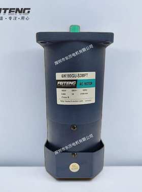 FEITENG飞腾刹车电机6IK180GU-S3MFT AC MOTOR马达FTG三相380V