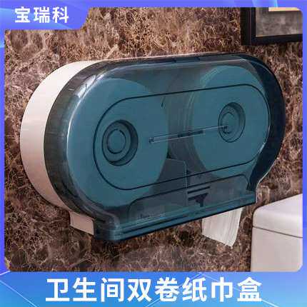 卫生间双卷纸巾架大卷纸盒可装2卷商用双卷纸公用纸巾架挂墙