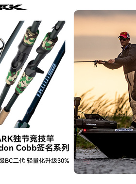 ARK路亚竿正品官方旗舰店BC二代超快调鲈鱼竿泛用独节路亚竿裸杆