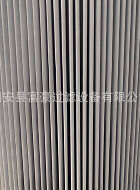 0不锈钢除尘滤筒32*80工业除0尘滤抛丸芯机喷砂机PCZ粉尘过滤器