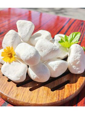 ｜?店园林景观MVL专用纯白色水装洗鹅卵石1吨道路铺装天然酒彩色