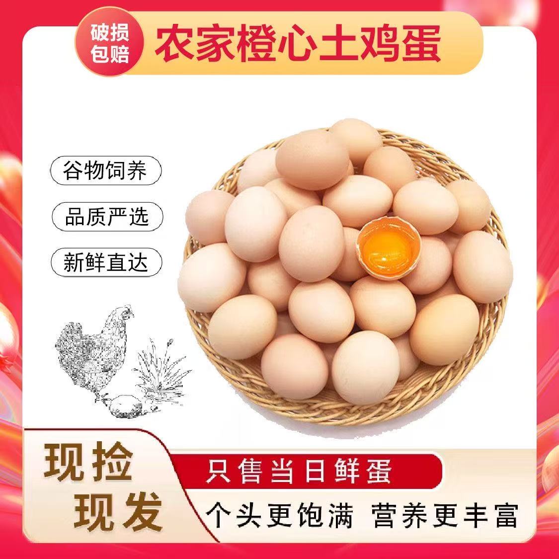 精选360枚鸡蛋批发柴鸡蛋批发土鸡蛋批发整箱批发鸡蛋新鲜虫草蛋