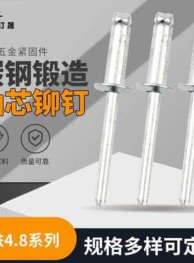 GB12618 DIN7337 GB12617沉头全铁抽芯铆钉开口型平圆头抽芯铆钉
