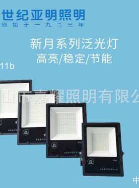 上海亚明LED泛光灯 新月FG11b 30W 50W 100W 150W 200W LED投光灯
