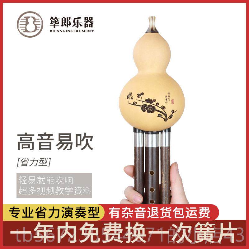 高档筚郎 紫葫乐芦丝成竹人初学 生专业舞台学演奏C降B调G F调云