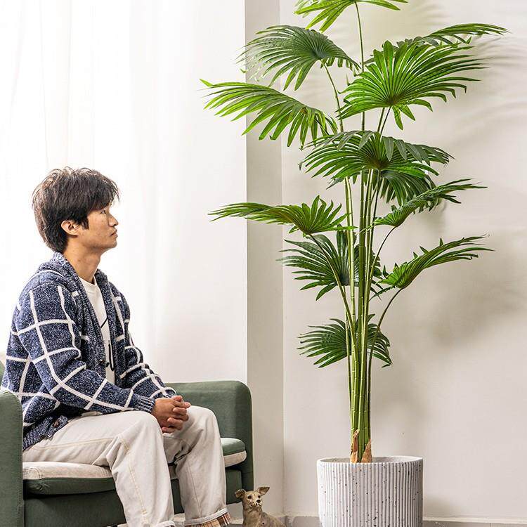 大仿真型葵扇葵棕榈落盆地蒲栽植16563286物假树绿植室内客厅造景