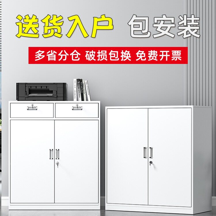 铁皮文件柜储物柜办公室资料柜带锁置物收纳工具柜家用小柜子矮柜