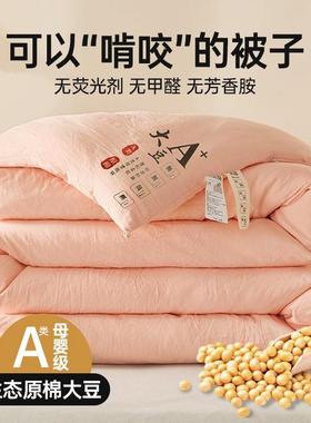 A类原棉大ali-7399豆纤纯维被子舍棉冬被全被棉心加厚单人宿春秋