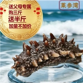 莱参湾即食海参年货礼品送父母三斤送半斤新鲜海刺参滋补佳品礼盒