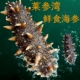 莱参湾鲜食海参即食海参深海底播刺参冷冻生鲜滋补营养送长辈特产