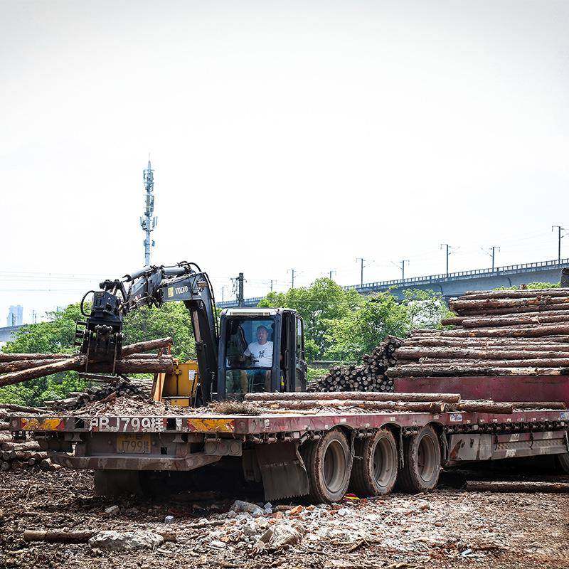 林叶松原木桩户外道护岸实落木XVH打桩木园绿化松木植树杆松木河,鲜花速递/花卉仿真/绿植园艺,其它园艺用品,淘宝优惠券,粉丝福利购,淘宝优惠卷