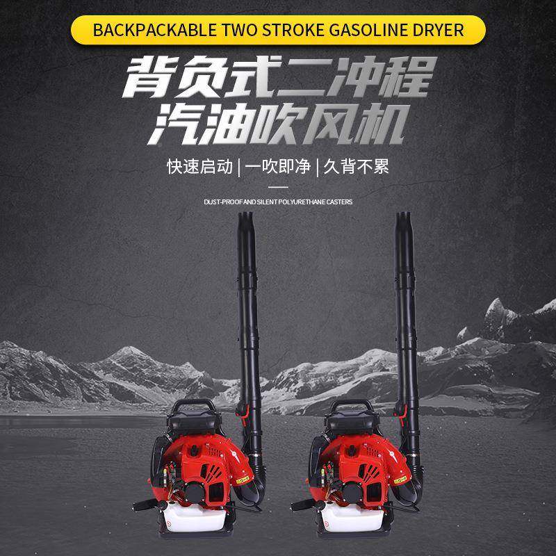 背负式二冲程汽吹风机背火负式汽油功油吹风机吹雪机大率森CCL林,鲜花速递/花卉仿真/绿植园艺,其它园艺用品,淘宝优惠券,粉丝福利购,淘宝优惠卷