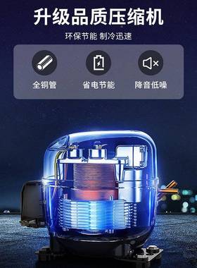 冷造冻质冰柜用大LPR容量冷冻藏超大卧式单温双温铜冷商管速冻冰